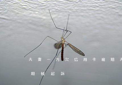 夫妻一方欠信用卡逾期(夫妻一方欠信用卡逾期被起訴)