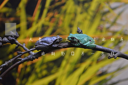 夫妻一方欠信用卡逾期房貸(夫妻一人欠信用卡逾期影響另一方嗎)