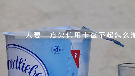 夫妻一方欠信用卡還不起怎么辦-