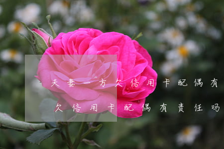 夫妻一方欠信用卡配偶有责任吗-夫妻一方欠信用卡配偶有责任吗怎么办
