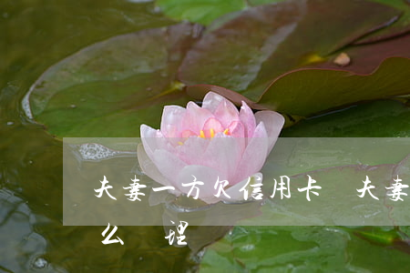 夫妻一方欠信用卡錢 夫妻一方欠信用卡錢怎么處理