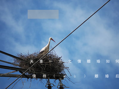 夫妻一方欠債離婚如何分配(夫妻雙方欠下的債務(wù)離婚后咋辦)