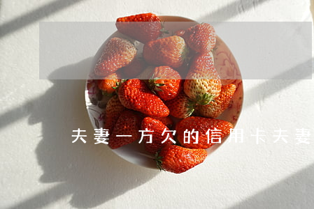 夫妻一方欠的信用卡(夫妻一方欠的信用卡)