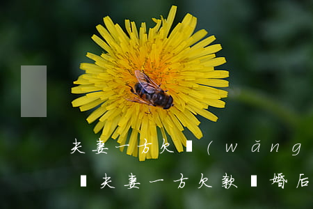 夫妻一方欠網(wǎng)貸離婚了受影響嗎(夫妻一方欠款 離婚后)