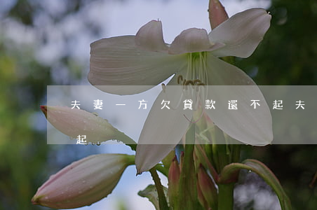 夫妻一方欠貸款還不起(夫妻一方欠貸款還不起)
