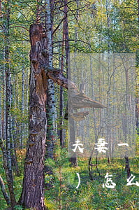 夫妻一方的婚前財(cái)產(chǎn)怎么繼承權(quán)(婚前財(cái)產(chǎn)夫妻一方去世怎么繼承)