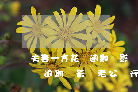 夫妻一方花唄逾期會影響另一方嗎-妻子花唄逾期,會影響老公銀行貸款嗎