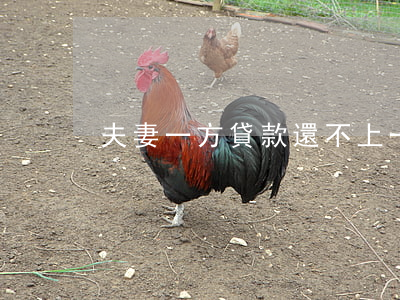 夫妻一方貸款還不上（一方還不起貸款）