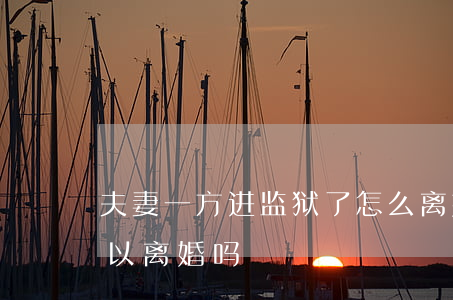夫妻一方进监狱了怎么离婚(夫妻一方入狱可以离婚吗)