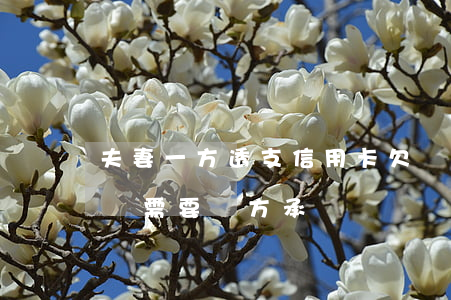夫妻一方透支信用卡欠錢(夫妻一方信用卡欠錢需要雙方承擔嗎)