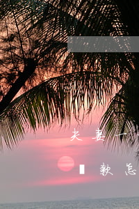 夫妻一方逾期買房貸款-夫妻一方逾期買房貸款怎么處理
