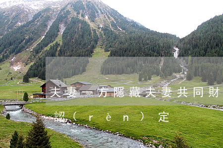夫妻一方“隱藏”夫妻共同財產(chǎn)的認(rèn)定