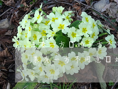 夫妻一方離婚一方不同意怎么辦(夫妻之間如果有一方不同意離婚怎么辦)