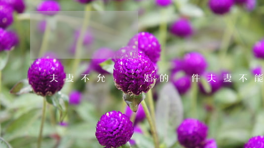 夫妻不允許離婚的條件(夫妻不能離婚的條件)