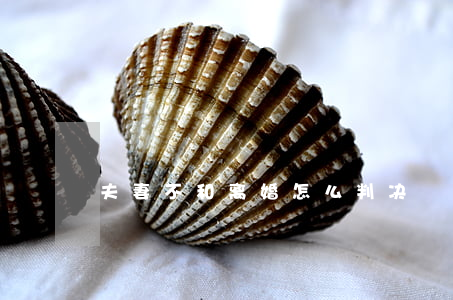 夫妻不和离婚怎么判决