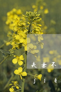 夫妻不在一個(gè)地方離婚怎么離(結(jié)婚和離婚不在一個(gè)地方可以離嗎?)