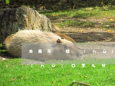 夫妻不離婚戶(hù)口可分嗎(離婚夫妻戶(hù)口怎么分戶(hù))