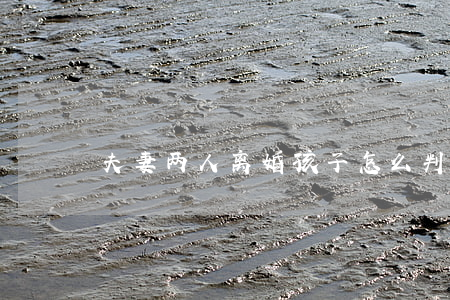 夫妻两人离婚孩子怎么判