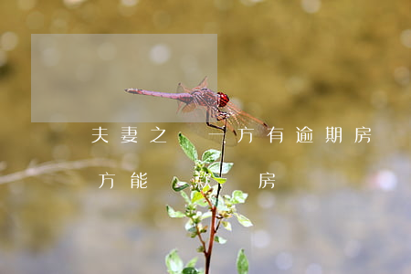 夫妻之間一方有逾期房貸(夫妻一方逾期另一方能貸款買房嗎)
