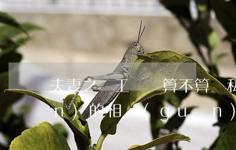 夫妻之間工資條算不算隱私（隱私權(quán)的相關(guān)內(nèi)容有哪些）