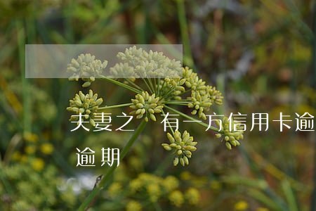 夫妻之間有一方信用卡逾期（夫妻共同信用卡逾期）