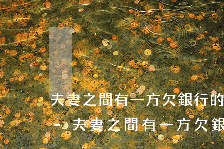 夫妻之間有一方欠銀行的款另一方能貸款嗎-夫妻之間有一方欠銀行的款另一方能貸款嗎