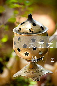 夫妻之間的共同財產(chǎn)可以強制執(zhí)行嗎?