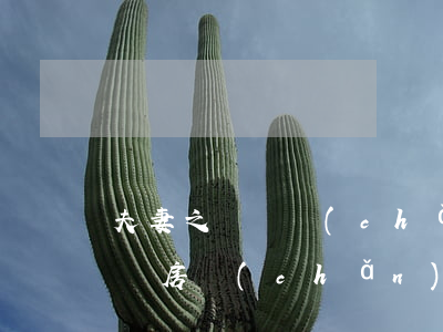 夫妻之間財產(chǎn)怎么繼承(夫妻之間房產(chǎn)繼承需要什么手續(xù))