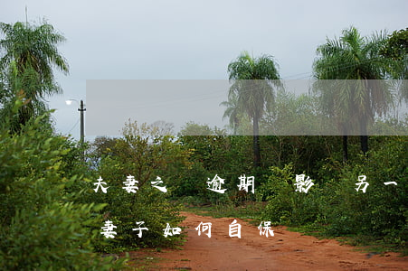 夫妻之間逾期會影響另一個人嗎-丈夫欠債妻子如何自保