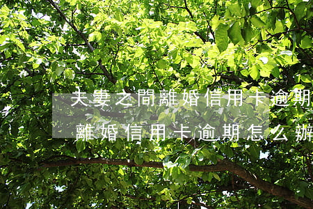 夫妻之間離婚信用卡逾期怎么辦-夫妻之間離婚信用卡逾期怎么辦理