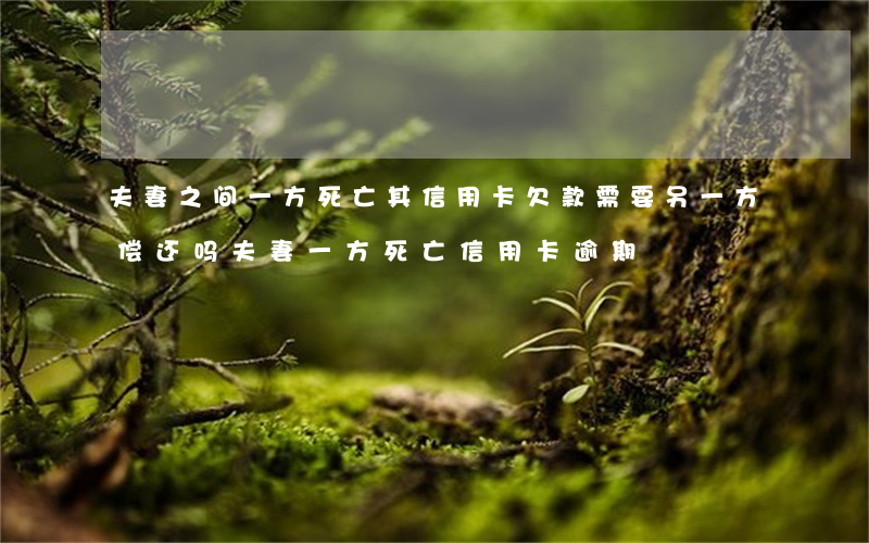 夫妻之间一方死亡其信用卡欠款需要另一方偿还吗（夫妻一方死亡信用卡逾期）