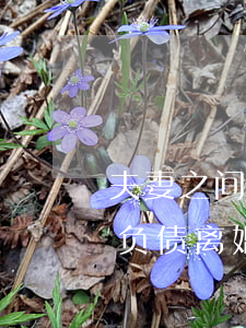 夫妻之间有债务想离婚怎么解决(夫妻之间有负债离婚怎么办)