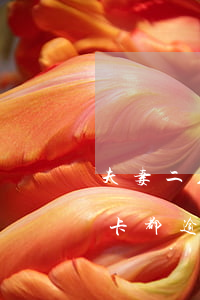 夫妻二人信用卡共同逾期怎么办(夫妻俩信用卡都逾期会坐牢吗)