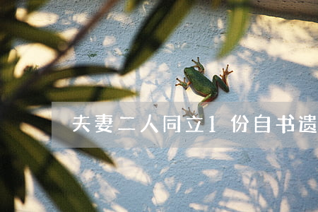 夫妻二人同立1份自书遗嘱合法有效吗