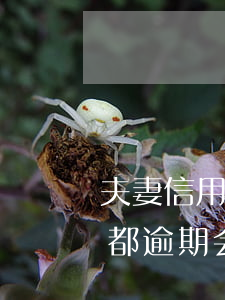 夫妻信用卡共同逾期会坐牢吗 夫妻俩信用卡都逾期会坐牢吗