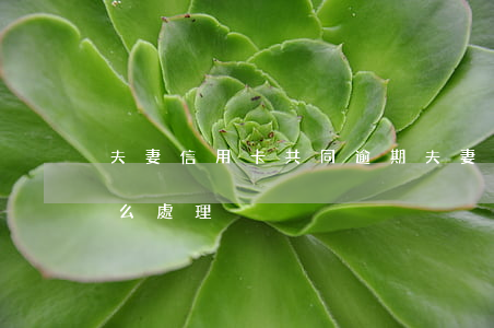 夫妻信用卡共同逾期 夫妻信用卡共同逾期怎么處理