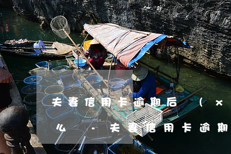 夫妻信用卡逾期后現(xiàn)在想還怎么辦-夫妻信用卡逾期后現(xiàn)在想還怎么辦呢