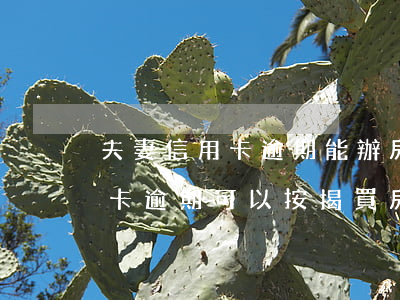 夫妻信用卡逾期能辦房貸嗎(夫妻有一人信用卡逾期,可以按揭買房)