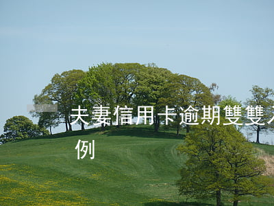 夫妻信用卡逾期雙雙入獄(信用卡逾期坐牢案例)