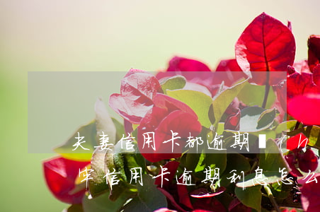 夫妻信用卡都逾期會(huì)坐牢嗎(因坐牢信用卡逾期利息怎么辦)