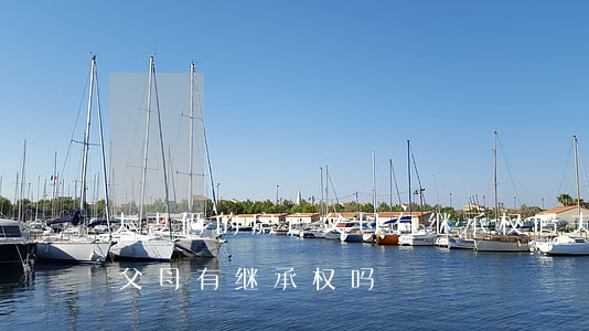 夫妻俩的房产父母有继承权吗(夫妻俩的房产父母有继承权吗)