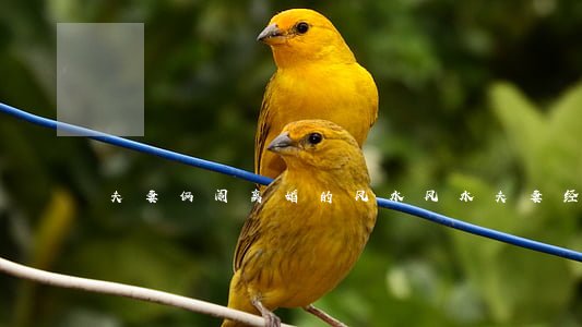 夫妻俩闹离婚的风水(风水夫妻经常吵架)