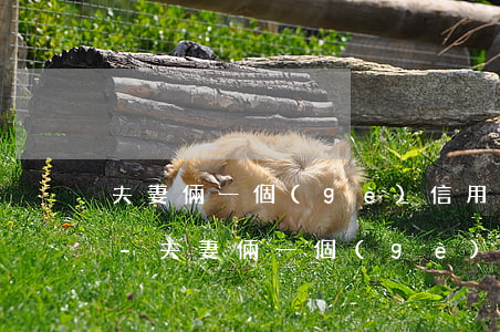 夫妻倆一個(gè)信用卡逾期可以按揭嗎-夫妻倆一個(gè)信用卡逾期可以按揭嗎有影響嗎