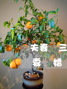 夫妻倆三觀不合離婚(夫妻之間三觀不合要不要離婚)