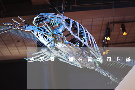 夫妻倆人都在異地可以辦理離婚嗎