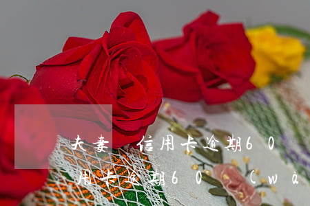 夫妻倆信用卡逾期60萬(wàn)(多家信用卡逾期60萬(wàn)半年)