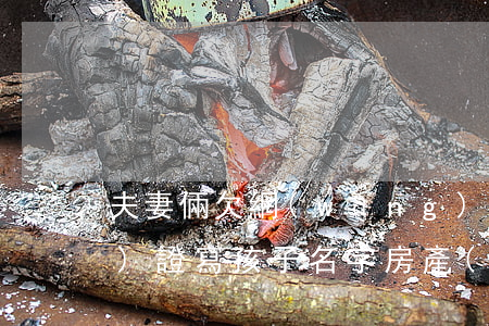 夫妻倆欠網(wǎng)貸房產(chǎn)證寫孩子名字(房產(chǎn)證寫孩子名字父母還貸)