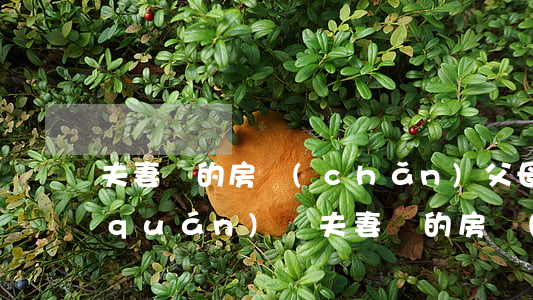 夫妻倆的房產(chǎn)父母有繼承權(quán)嗎(夫妻倆的房產(chǎn)父母有繼承權(quán)嗎)