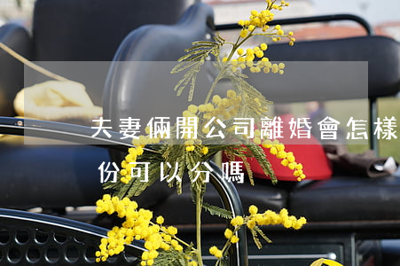 夫妻倆開公司離婚會怎樣(老公開公司離婚股份可以分嗎)