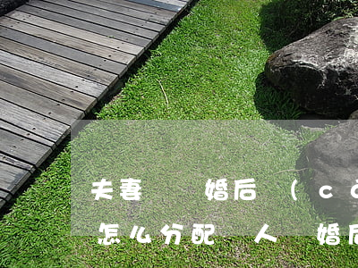 夫妻倆離婚后財(cái)產(chǎn)怎么分配(兩人離婚后財(cái)產(chǎn)如何分配)